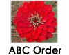 Help the flowers get in ABC order